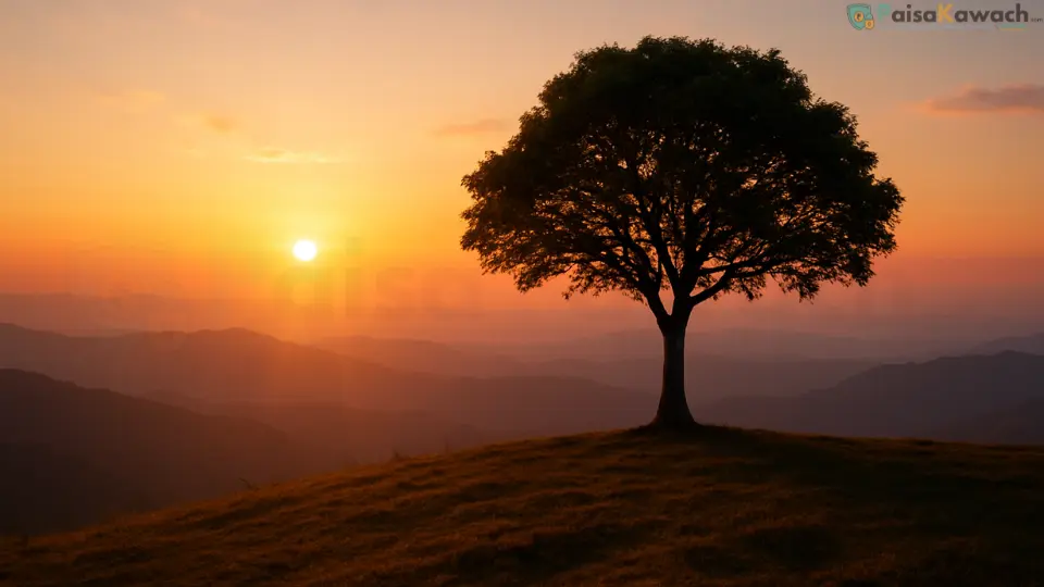 The 10-Year Test: What Happens When You Stop Watching Your Money and Just Let It Grow